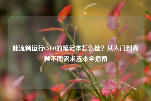 能流畅运行CSGO的笔记本怎么选？从入门到高帧不同需求选本全指南
