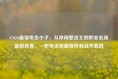 CSGO最强电击小子,从休闲整活王到职业名场面制造者,一把电击枪戳穿所有战术套路