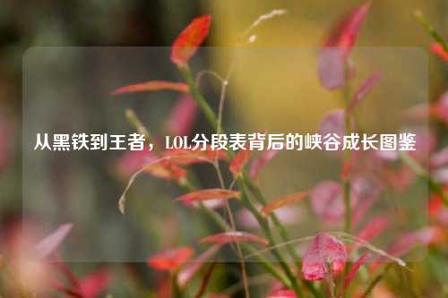从黑铁到王者,LOL分段表背后的峡谷成长图鉴