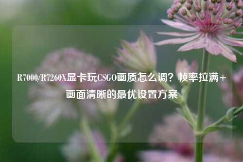 R7000/R7260X显卡玩CSGO画质怎么调?帧率拉满+画面清晰的最优设置方案
