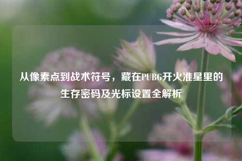从像素点到战术符号，藏在PUBG开火准星里的生存密码及光标设置全解析