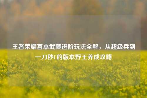 王者荣耀宫本武藏进阶玩法全解,从超级兵到一刀秒C的版本野王养成攻略