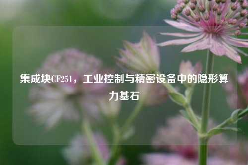 集成块CF251，工业控制与精密设备中的隐形算力基石