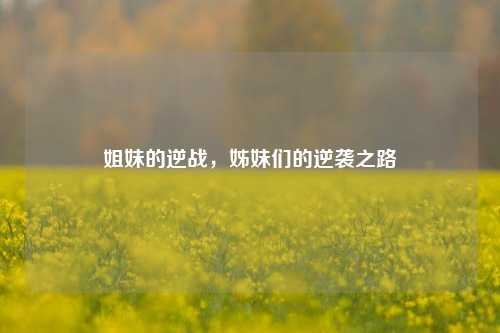 姐妹的逆战,姊妹们的逆袭之路