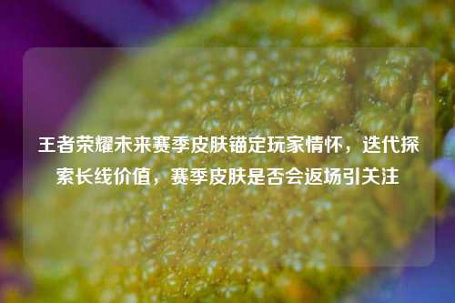 王者荣耀未来赛季皮肤锚定玩家情怀,迭代探索长线价值,赛季皮肤是否会返场引关注