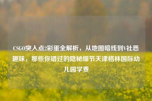CSGO突入点2彩蛋全解析,从地图暗线到V社恶趣味,那些你错过的隐秘细节天津格林国际幼儿园学费