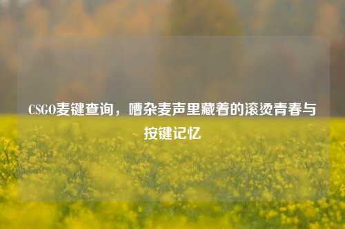 CSGO麦键查询，嘈杂麦声里藏着的滚烫青春与按键记忆