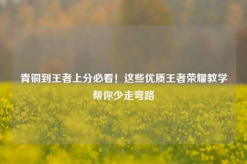 青铜到王者上分必看!这些优质王者荣耀教学帮你少走弯路