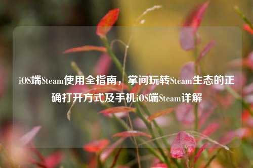 iOS端Steam使用全指南，掌间玩转Steam生态的正确打开方式及手机iOS端Steam详解
