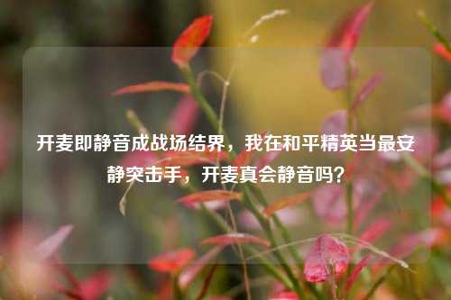 开麦即静音成战场结界,我在和平精英当最安静突击手,开麦真会静音吗?
