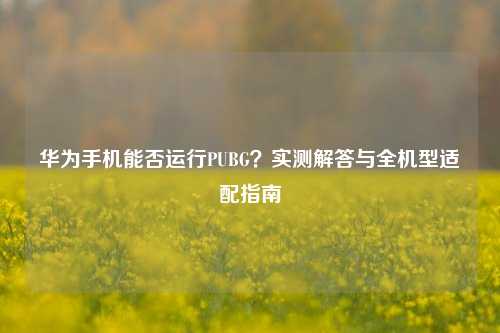 华为手机能否运行PUBG?实测解答与全机型适配指南