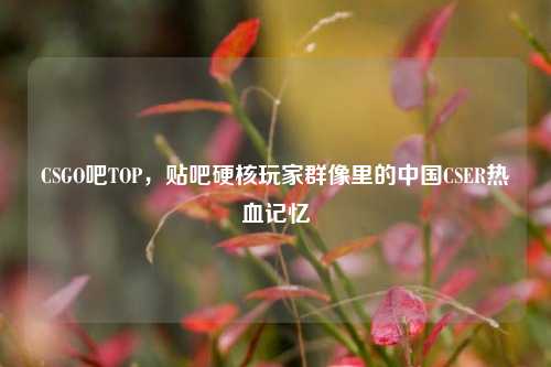 CSGO吧TOP,贴吧硬核玩家群像里的中国CSER热血记忆