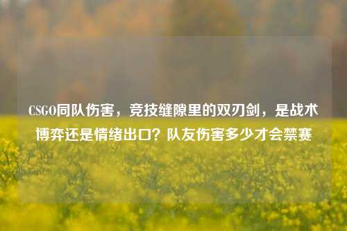 CSGO同队伤害，竞技缝隙里的双刃剑，是战术博弈还是情绪出口？队友伤害多少才会禁赛