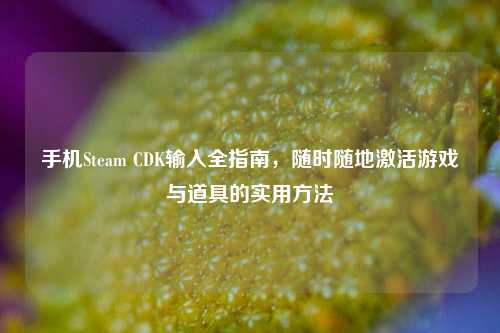 手机Steam CDK输入全指南,随时随地激活游戏与道具的实用方法