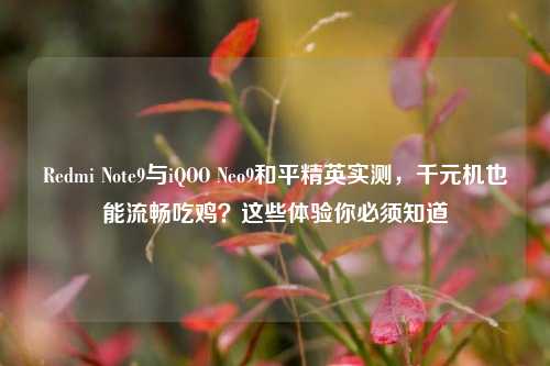 Redmi Note9与iQOO Neo9和平精英实测,千元机也能流畅吃鸡?这些体验你必须知道