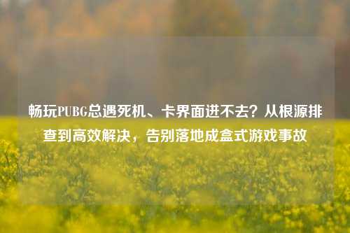 畅玩PUBG总遇死机、卡界面进不去？从根源排查到高效解决，告别落地成盒式游戏事故