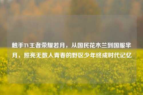 触手TV王者荣耀若月,从国民花木兰到国服芈月,照亮无数人青春的野区少年终成时代记忆