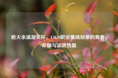 枪火余温凝奖杯,CSGO职业赛场刻录的青春、荣耀与滚烫热血