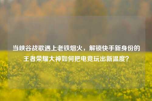 当峡谷战歌遇上老铁烟火，解锁快手新身份的王者荣耀大神如何把电竞玩出新温度？