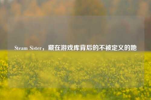 Steam Sister,藏在游戏库背后的不被定义的她