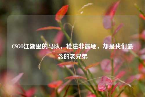 CSGO江湖里的马队,枪法非最硬,却是我们最念的老兄弟