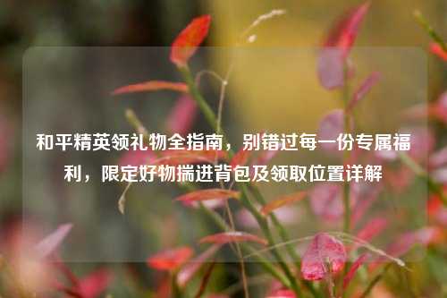 和平精英领礼物全指南,别错过每一份专属福利,限定好物揣进背包及领取位置详解