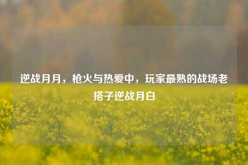 逆战月月,枪火与热爱中,玩家最熟的战场老搭子逆战月白