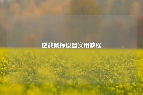 逆战鼠标设置实用教程