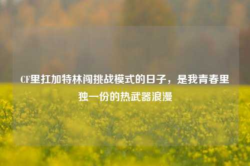 CF里扛加特林闯挑战模式的日子，是我青春里独一份的热武器浪漫
