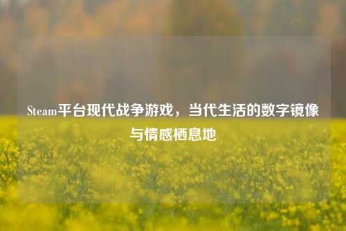 Steam平台现代战争游戏,当代生活的数字镜像与情感栖息地