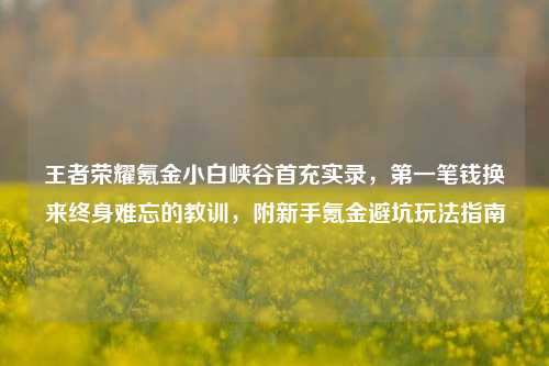 王者荣耀氪金小白峡谷首充实录,第一笔钱换来终身难忘的教训,附新手氪金避坑玩法指南