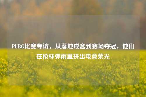 PUBG比赛专访,从落地成盒到赛场夺冠,他们在枪林弹雨里拼出电竞荣光