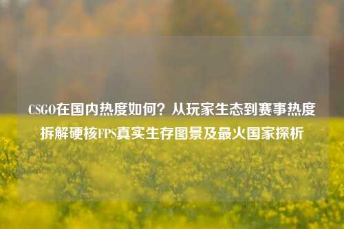 CSGO在国内热度如何?从玩家生态到赛事热度拆解硬核FPS真实生存图景及最火国家探析