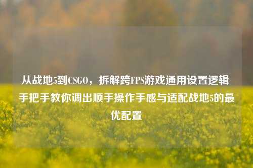 从战地5到CSGO,拆解跨FPS游戏通用设置逻辑 手把手教你调出顺手操作手感与适配战地5的最优配置