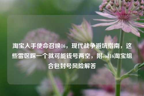 淘宝入手使命召唤16，现代战争避坑指南，这些雷区踩一个就可能钱号两空，附cod16淘宝组合包封号风险解答