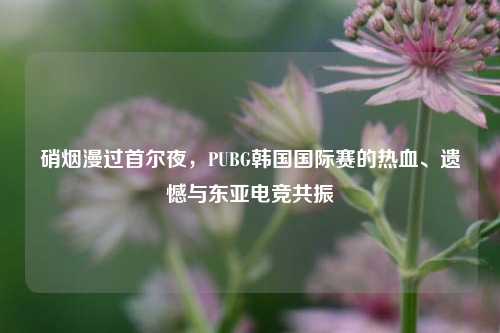硝烟漫过首尔夜,PUBG韩国国际赛的热血、遗憾与东亚电竞共振
