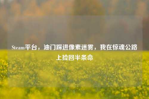 Steam平台，油门踩进像素迷雾，我在惊魂公路上捡回半条命