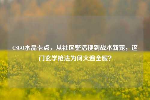 CSGO水晶卡点，从社区整活梗到战术新宠，这门玄学枪法为何火遍全服？