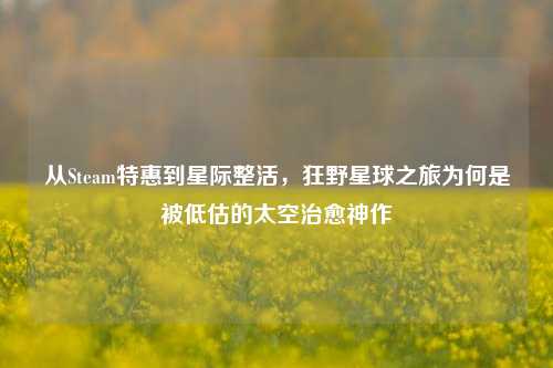 从Steam特惠到星际整活，狂野星球之旅为何是被低估的太空治愈神作