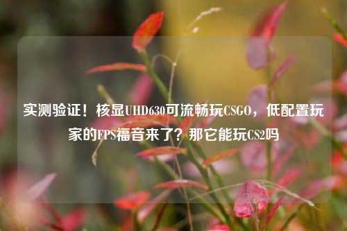 实测验证!核显UHD630可流畅玩CSGO,低配置玩家的FPS福音来了?那它能玩CS2吗