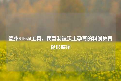 温州STEAM工具，民营制造沃土孕育的科创教育隐形底座