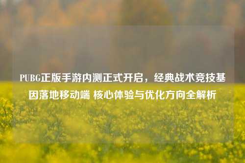 PUBG正版手游内测正式开启，经典战术竞技基因落地移动端 核心体验与优化方向全解析
