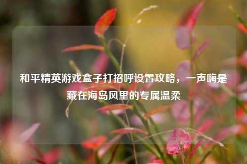 和平精英游戏盒子打招呼设置攻略,一声嗨是藏在海岛风里的专属温柔