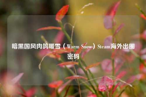 暗黑国风肉鸽暖雪(Warm Snow)Steam海外出圈密码