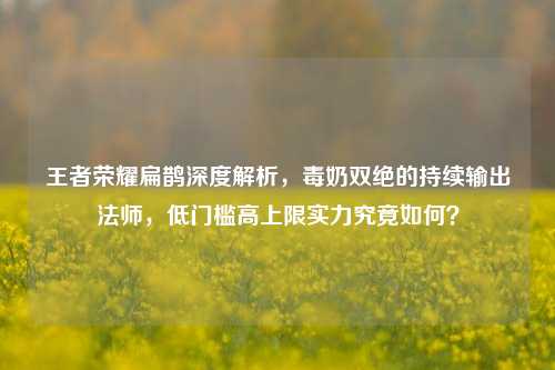 王者荣耀扁鹊深度解析,毒奶双绝的持续输出法师,低门槛高上限实力究竟如何?
