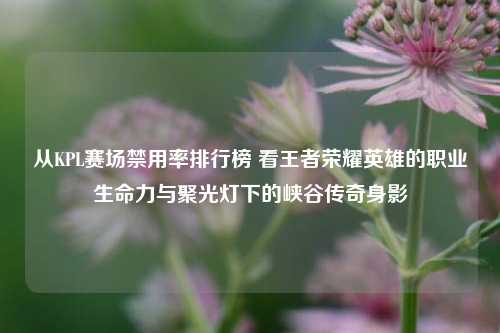 从KPL赛场禁用率排行榜 看王者荣耀英雄的职业生命力与聚光灯下的峡谷传奇身影