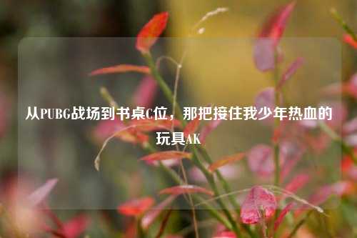 从PUBG战场到书桌C位,那把接住我少年热血的玩具AK