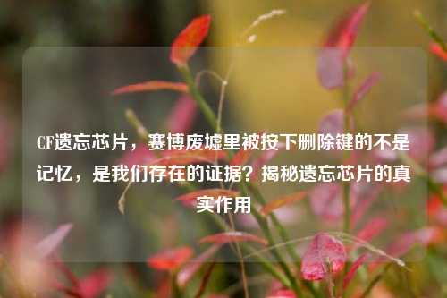 CF遗忘芯片,赛博废墟里被按下删除键的不是记忆,是我们存在的证据?揭秘遗忘芯片的真实作用