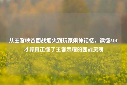 从王者峡谷团战烟火到玩家集体记忆,读懂AOE才算真正懂了王者荣耀的团战灵魂