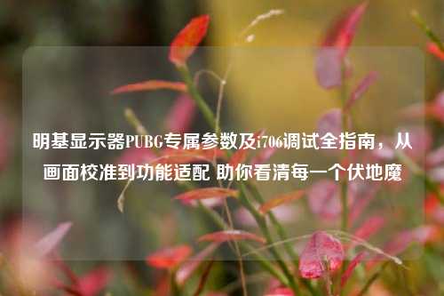 明基显示器PUBG专属参数及i706调试全指南,从画面校准到功能适配 助你看清每一个伏地魔